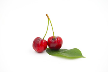 The big cherries are on a white background