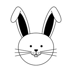 cute rabbit or bunny icon image