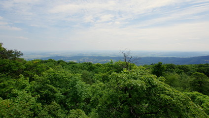 Widok ponad wierzchołkami drzew, zdjęcie zrobione na gorze Ślęża obok Sobotki