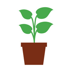 plant in pot icon image