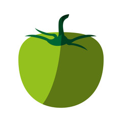 tomato fruit icon image