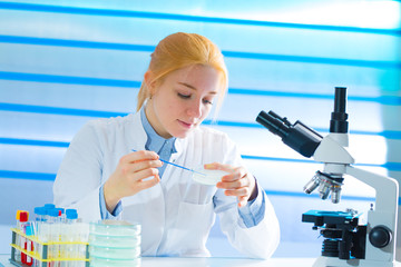 Laboratory assistant in the medical laboratory control a microbiological analysis of the blood. Using a pipette and a test tube in the laboratory