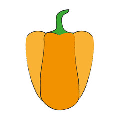 bell pepper vegetable icon image