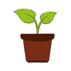 plant in pot icon image