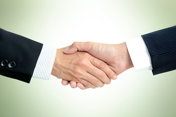 Handshake of businessmen in light green background