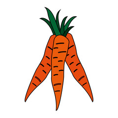 vegetable icon image