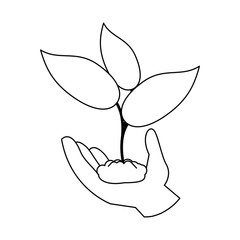 plant icon image