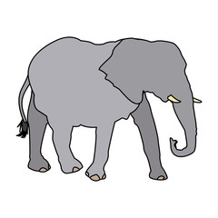 elephant wild animal safari african vector illustration