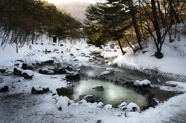 Gunma Hot Springs