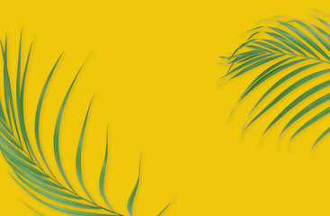 Fototapeta na wymiar Tropical palm leaves on yellow background. Minimal nature. Summer Styled. Flat lay. Image is approximately 5500 x 3600 pixels in size