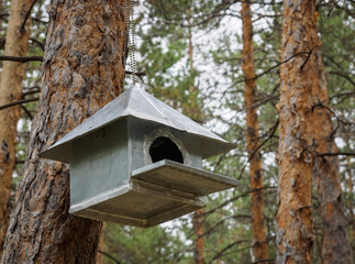 makeshift houses for the birds in the Park