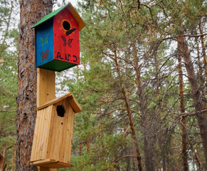 makeshift houses for the birds in the Park