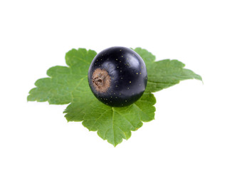Black currant with green leaf isolated on white background.