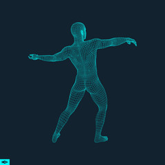 3D Model of Man. Human Body Wire Model. Design Element. Technology Vector Illustration.