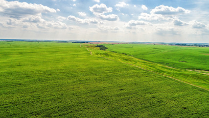 drone with a camera on a green field.