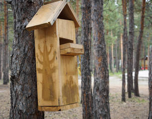 makeshift houses for the birds in the Park