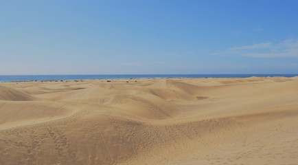 Fototapeta na wymiar dunes de maspalomas, gran canaries