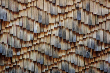 wooden wall tree structured texture