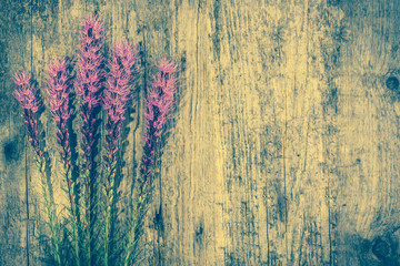 Fototapeta premium Purple flowers on wood, rustic background, copy space