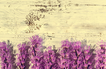 Fototapeta premium Purple flowers on wood, card template, copy space