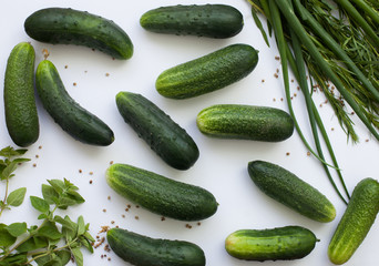 Flat lay with cucumbers and greenery
