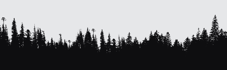 forest silhouette background. - 164021050