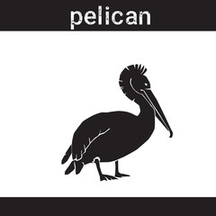 Silhouette Pelican In Grunge Design Style Animal Icon Vector Illustration