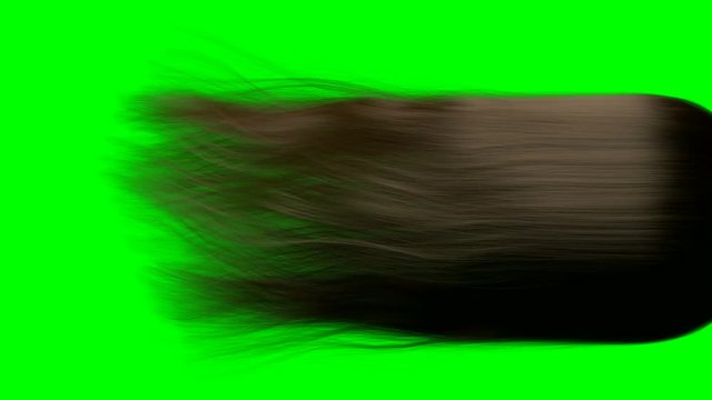 A close up of a long length of brown hair blowing and swaying in slow motion before settling on a green screen background