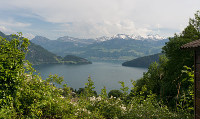Fototapeta na wymiar Lake Lucern in Switzerland