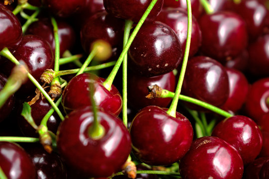 Closeup of cherries for background/texture