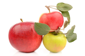 apple on a white background