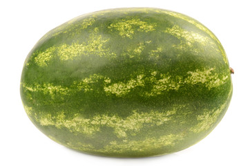 Watermelon on white background