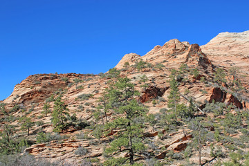 Zion National Park, Utah