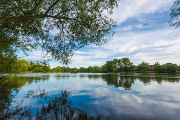 Fototapeta na wymiar Summer lake landscape with green trees and bush, Woking, Surrey