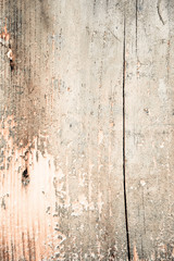 wood grungy background with space for your design