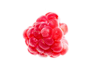Juicy red raspberries on white background © schankz