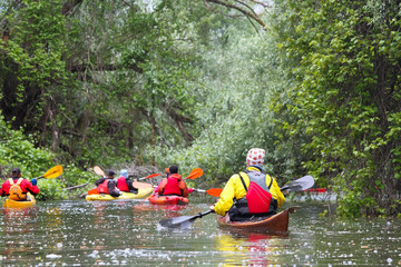 Group of people (friends) kayaking in wild river among thickets of plants on biosphere reserve in spring - obrazy, fototapety, plakaty