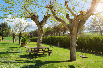 Wooden swing and bench in country