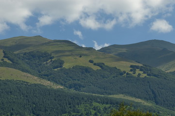 Naklejka premium Majestic mountain top overgrown with coniferous forest, valley and grass glade, Central Balkan mountain, StaraPlanina, Bulgaria 