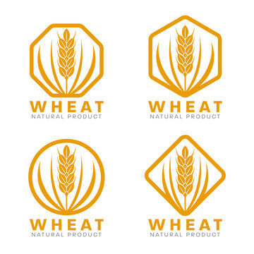 Orange Wheat rice logo sign vector design