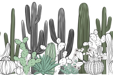 Seamless pattern with cactus. Wild cactus forest © Toltemara