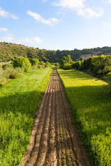 Plowed terrain in the sicilian countryside