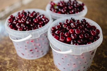 bucket of cherry when i went to cherry farm