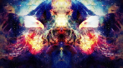 Obraz na płótnie Canvas Eagle in cosmic space. Profile portratit. Computer collage.