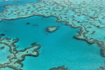 Fototapeta na wymiar Grande barrière de corail, Heart reef, Ocean, Australie