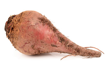 Beets on a white background