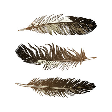 3 hand drawn black and white feathers