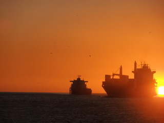 Fototapeta premium Californie San Fransisco