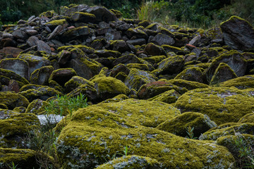 Landscape with mossy boulders on a mountain