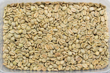Arabica coffee beans